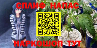 соль ск Будённовск