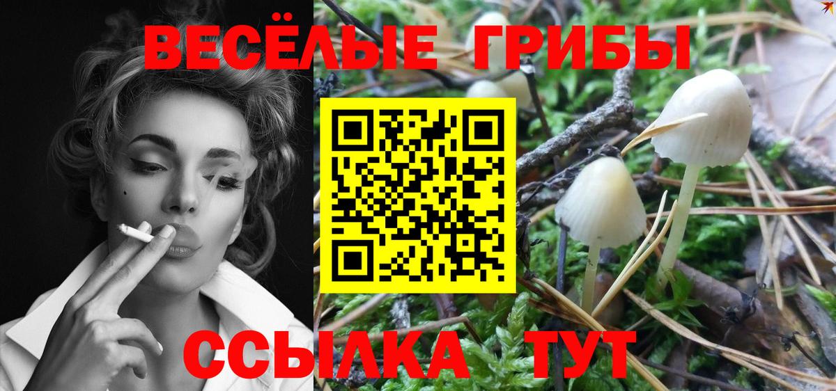 Галлюциногенные грибы Magic Shrooms Моздок